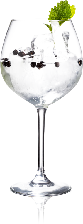 The Botanist Islay Dry Gin 0,7L 46%